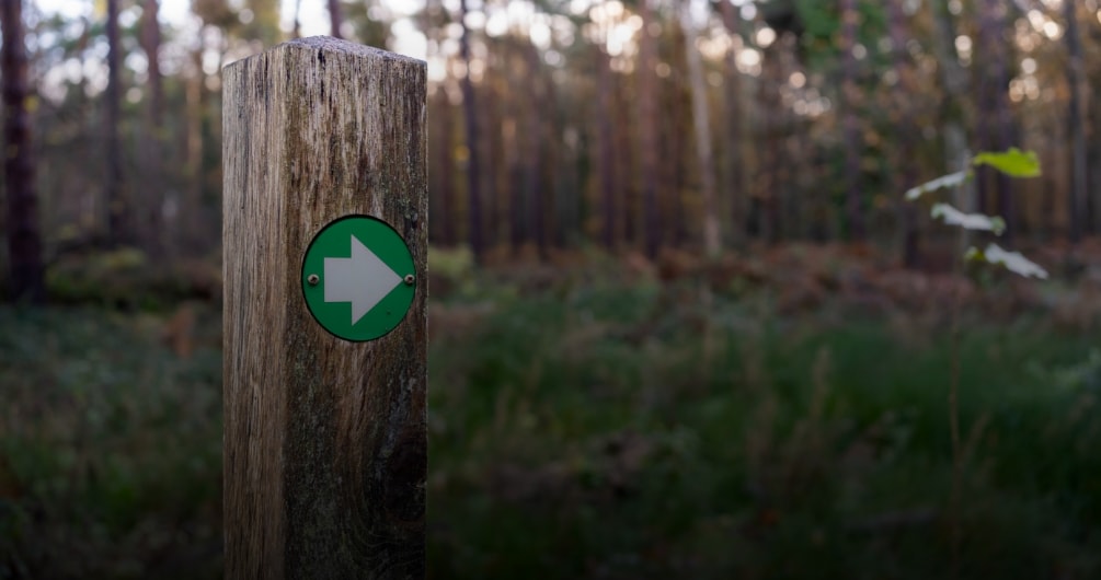 Direction indicator
