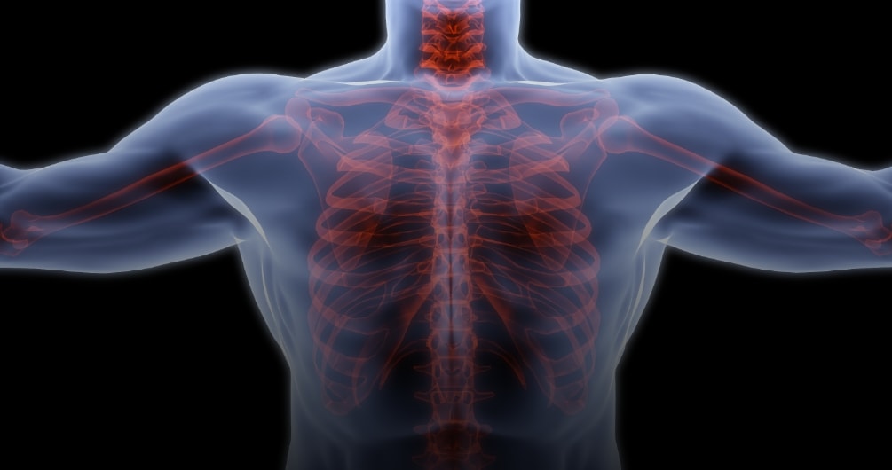 body scan