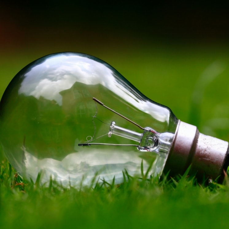 light bulb