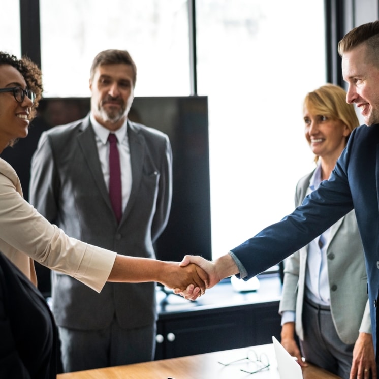 professionals shaking hands