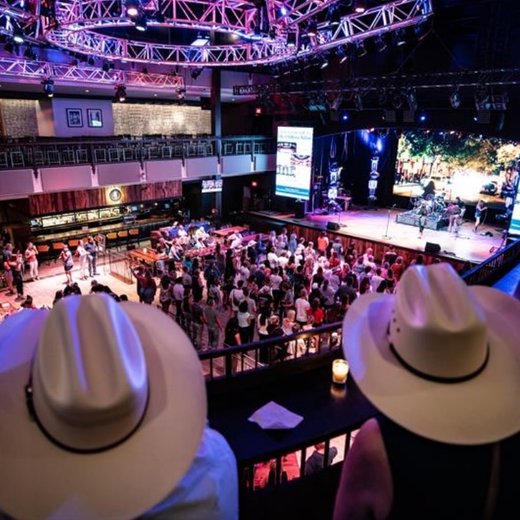 people enjoying concert