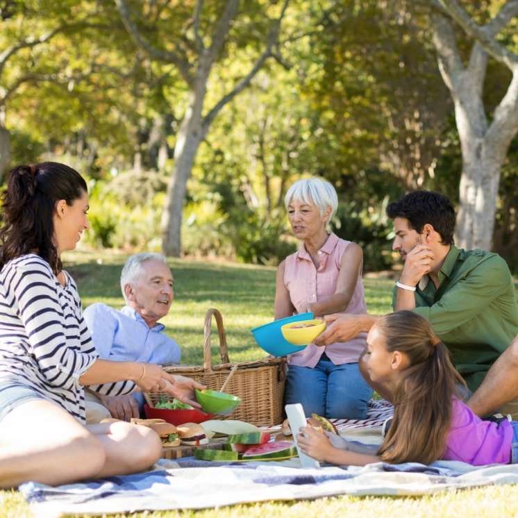 family enjoying picnic