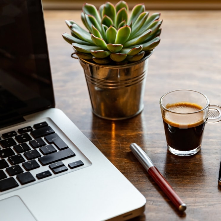 laptop, tea and plant