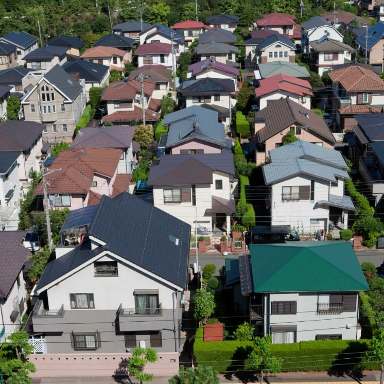 Neighborhood View