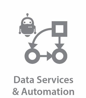 Data Services & Automation