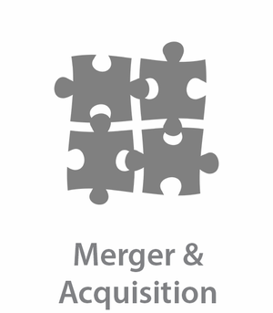 Merger & Acquisition