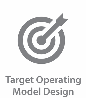 Target Operating Model Design