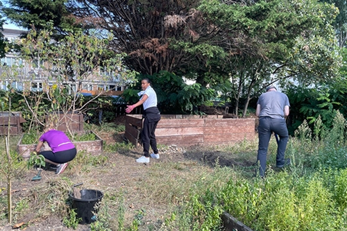 UK Volunteer Day Age UK HandsOn London Planting